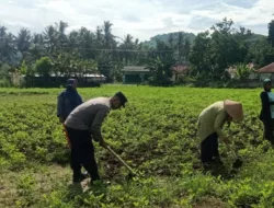 Kolaborasi Polisi dan Warga Kuripan Wujudkan Kemandirian Pangan