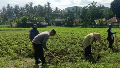 Kolaborasi Polisi dan Warga Kuripan Wujudkan Kemandirian Pangan