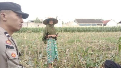 Swasembada Pangan Dimulai dari Desa: Peran Aktif Polisi di Labuapi