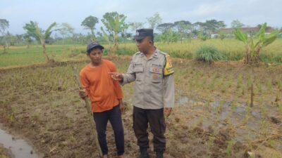 Sinergi Polri dan Warga Desa Montong Are Wujudkan Swasembada Pangan