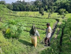 Polsek Kediri Ajak Warga Tanam Sayur demi Swasembada Pangan di Lombok Barat