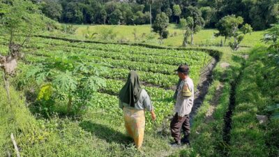 Polsek Kediri Ajak Warga Tanam Sayur demi Swasembada Pangan di Lombok Barat