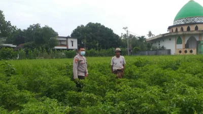 Polsek Kuripan Perkuat Ketahanan Pangan Warga lewat Pendampingan Aktif