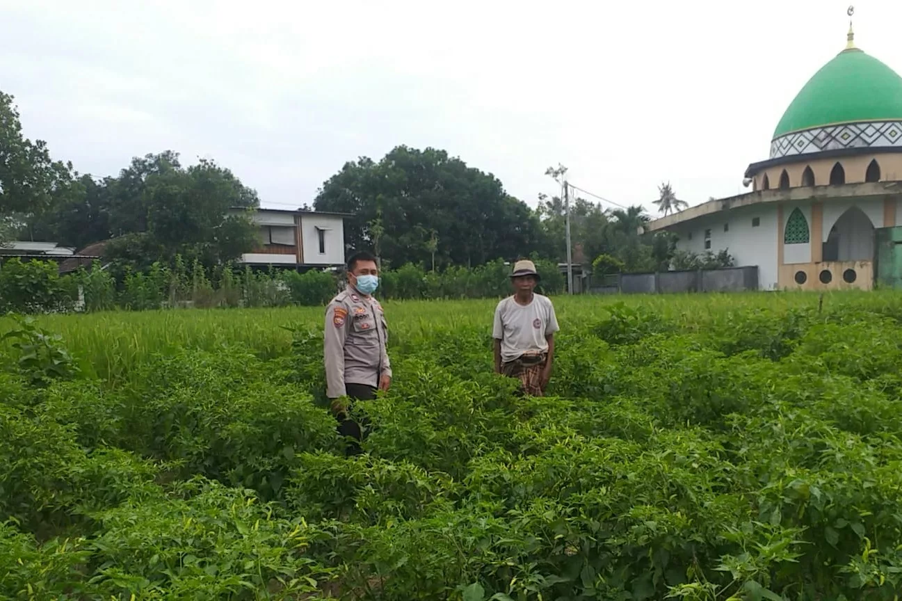 Polsek Kuripan Perkuat Ketahanan Pangan Warga lewat Pendampingan Aktif