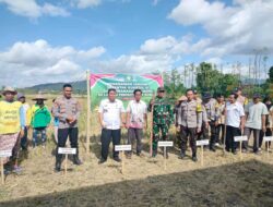 Dusun Dasan Geres Pande Jadi Lokasi Strategis Aksi Serentak Tanam Jagung di Lombok Barat