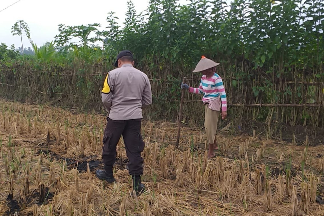 Sinergi Polri dan Warga Jagaraga Kembangkan Ketahanan Pangan Keluarga
