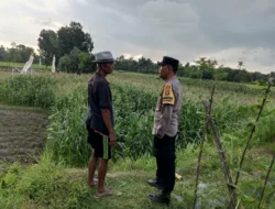 Kuripan Utara Jadi Contoh Penerapan Ketahanan Pangan Rumah Tangga