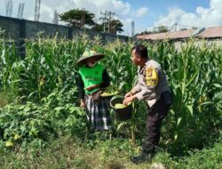 Polsek Labuapi Edukasi Warga Desa Jerneng untuk Perkuat Ketahanan Pangan
