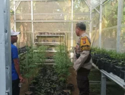 Polisi Aktif Bina Ketahanan Pangan di Dusun Aik Are