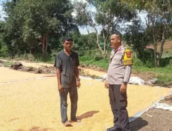 Dukung Penuh Program Prioritas Presiden RI, Bhabinkamtibmas Polsek Soromandi Aktif Bantu Kegiatan Petani