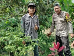 Edukasi Warga Manfaatkan Lahan Pekarangan, Bhabinkamtibmas Polsek Donggo Sukseskan Program Ketahanan Pangan Nasional