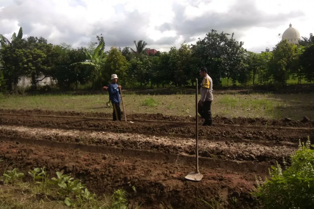 Bhabinkamtibmas Kediri Dorong Ketahanan Pangan di Plowok Selatan