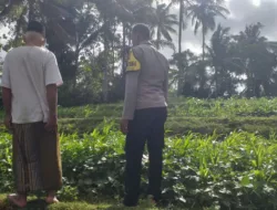 Ketahanan Pangan Dimulai dari Pekarangan Warga Lembar