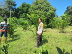 Demi Ketahanan Pangan, Bhabinkamtibmas Luk Gagas Pemanfaatan Lahan Kosong