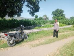 Lahan Jagung So Na’e Telah Terisi Penuh, Bhabinkamtibmas Pastikan Tak Ada Persiapan Tanam Kuartal Ketiga