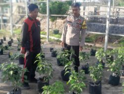 Dukung Program Asta Cita, Bhabinkamtibmas Desa Goa Dampingi Ketahanan Pangan Masyarakat Lewat Pekarangan Bergizi