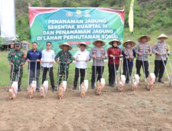 Polres Sumbawa Barat Gelar Tanam Jagung Kuartal III dan Pohon Keras Serentak Dukung Ketahanan Pangan Nasional