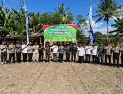 Penanaman Jagung Serentak Kuartal III dan Lahan Perhutanan Sosial Dukung Ketahanan Pangan di Sumbawa