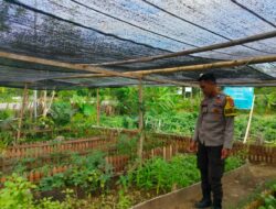 Bhabinkamtibmas Desa Bangkat Monteh Dampingi Warga Tanam Pekarangan Bergizi Dukung Program Swasembada Pangan