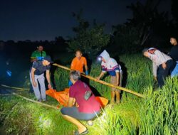 Lansia Hilang Ditemukan Meninggal di Sawah, Polisi Pastikan Bukan Korban Kekerasan