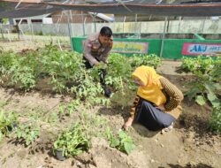 Bhabinkamtibmas Desa Sekongkang Atas Dampingi Warga Kelola Pekarangan Pangan Bergizi