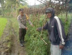 Bhabinkamtibmas Desa Rhee Gencarkan Ketahanan Pangan dengan Membantu Warga Manfaatkan Pekarangan