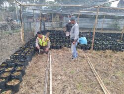 Bhabinkamtibmas Desa Seran Dampingi Warga Kelola Pekarangan Pangan Bergizi