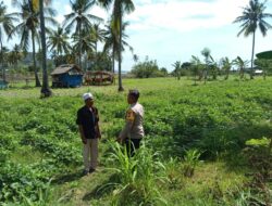 Sinergi Polri dan Warga Sekotong Barat Wujudkan Ketahanan Pangan Mandiri