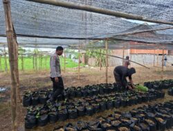 Bhabinkamtibmas Desa Air Suning Dampingi Pengelolaan Pekarangan Pangan Bergizi