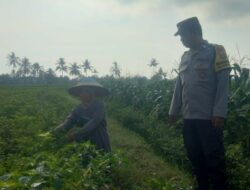Bhabin Montong Are Garda Ketahanan Pangan dan Kamtibmas