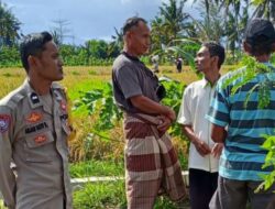 Sinergi Petani dan Polisi di Lombok Barat, Ketahanan Pangan Jadi Prioritas