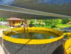 Bhabinkamtibmas Desa Tongo Dampingi Warga Kelola Pekarangan Pangan Bergizi