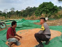 Bantu Kegiatan Petani di Desa Binaan, Bhabinkamtibmas Polsek Tambora Sukseskan Program Ketahanan Pangan Nasional