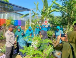 Bhabinkamtibmas Dampingi Penilaian Lomba Kebun PKK di Seteluk Tengah