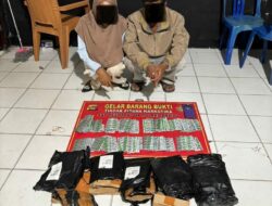 Tim Opsnal Satresnarkoba Polres Dompu Tangkap Dua Terduga Pengedar Obat Terlarang Jenis Tramadol