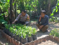 Bhabinkamtibmas Desa Tongo Dampingi Kegiatan Pengelolaan Pekarangan Pangan Bergizi