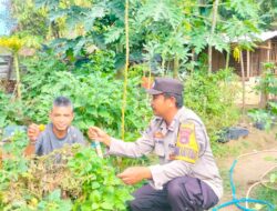 Bhabinkamtibmas Desa Mantun Dampingi Warga Kelola Pekarangan Pangan Bergizi, Dukung Ketahanan Pangan dan Program Asta Cita