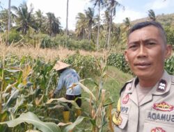 Kunjungan Humanis Bhabinkamtibmas di Dusun Tibu Baru, Dukung Pertanian Berkelanjutan