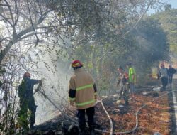 Babinsa Malaka Sigap Dampingi Warga Atasi Kebakaran Lahan