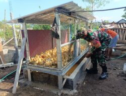 Kisah Peternakan Bebek Safiudin di Langko Didampingi Babinsa