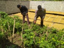 Polisi Ajak Warga Sekotong Tengah Bertani di Pekarangan, Wujudkan Desa Mandiri Pangan