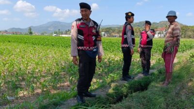 Polres Lombok Barat Pantau Ketahanan Pangan di Desa Tempos