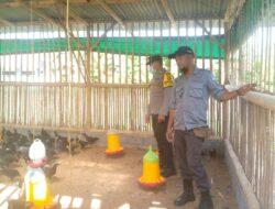 Ketahanan Pangan Dimulai dari Desa: Inisiatif Polri di Jagaraga, Kuripan