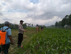 Polsek Kediri Dampingi Petani Desa Lelede Tingkatkan Ketahanan Pangan