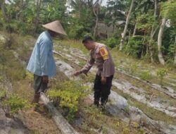 Bhabinkamtibmas Desa Kuranji Ajak Warga Manfaatkan Lahan Kosong untuk Ketahanan Pangan