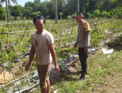 Bhabinkamtibmas Batu Putih Dorong Petani Sekotong Optimalkan Lahan Produktif