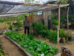 Dukung Program Asta Cita, Bhabinkamtibmas Desa Bangkat Monteh Dampingi Warga Kelola Pekarangan Bergizi