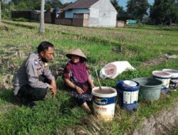 Bhabinkamtibmas Kuripan Dorong Kemandirian Pangan Keluarga dari Pekarangan