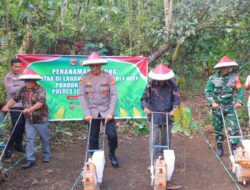 Polres Lombok Utara Gandeng Ponpes Tanam Jagung Serentak