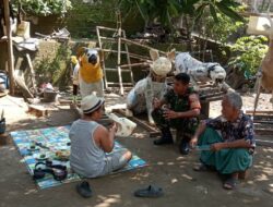 Tradisi Gawe Gubuk, Babinsa Dukung Pembuatan Peraje-prajean Desa